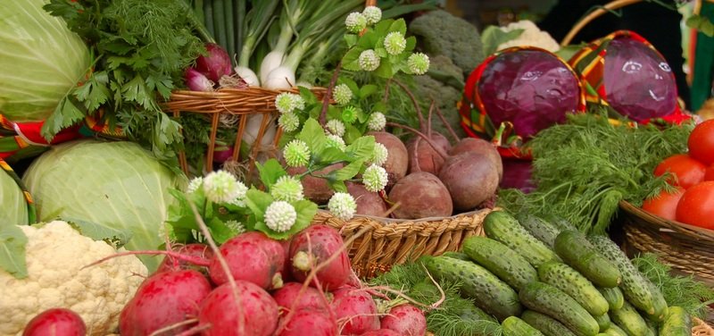 Плательщикам ЕСХН могут разрешить уплачивать НДС на добровольной основе