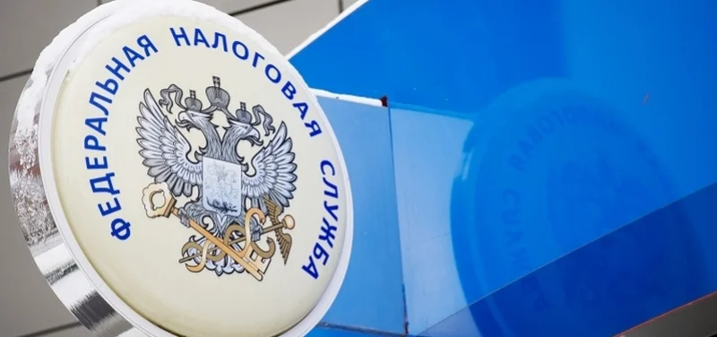 ФНС: вклад в уставный капитал в виде имущества нужно проводить через книгу продаж
