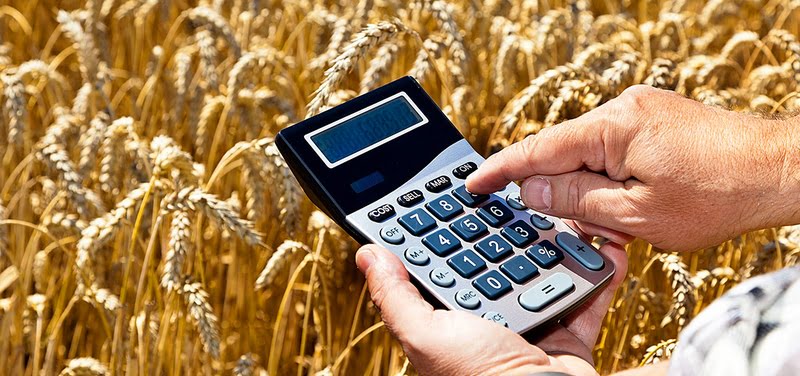 Могут ли плательщики ЕСХН выставлять счет-фактуру?