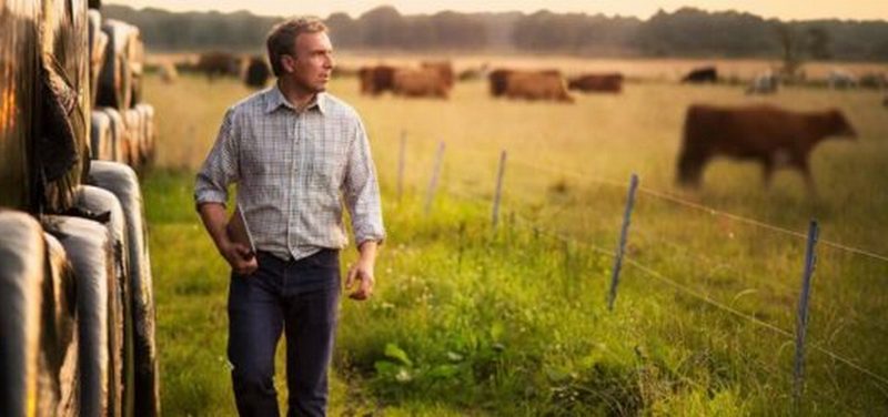 ЕСХН: формы уведомлений и образцы заполнения