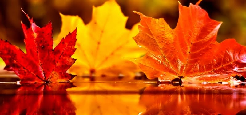 Календарь отчетности за III квартал 2018 года