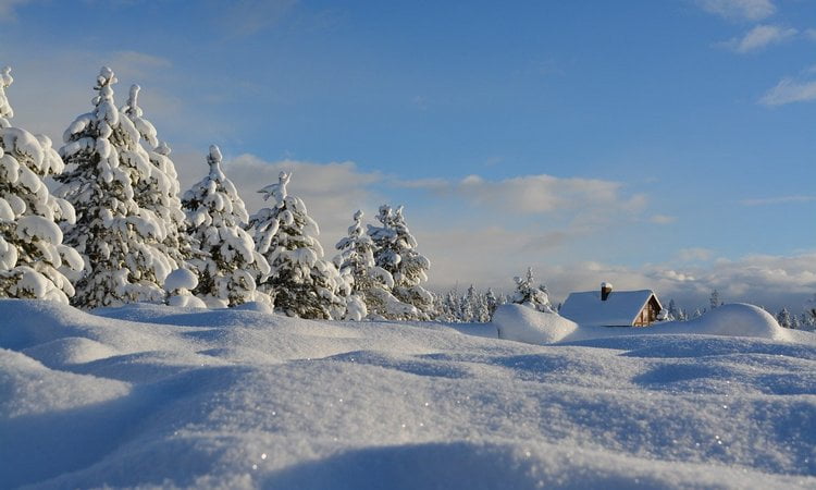 Важные задачи бухгалтера на остаток года