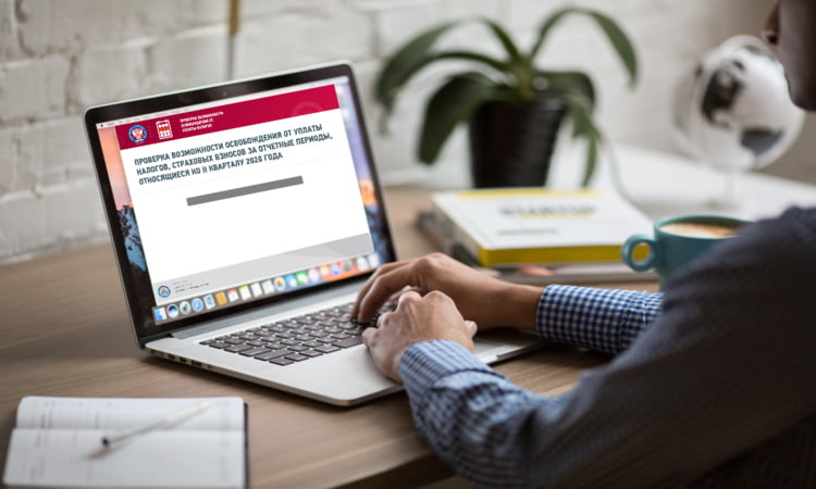 Сервис от ФНС для проверки права на освобождение от уплаты налогов