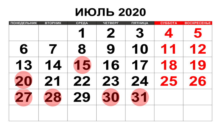Июльские сроки представления налоговой отчетности