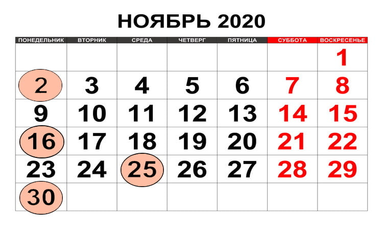 Календарь бухгалтера. Ноябрь