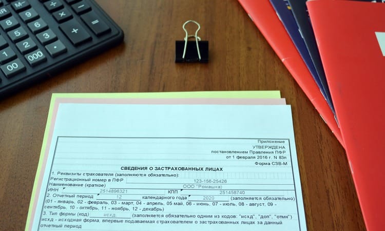 Новые Формы Сзв В 2022 Году Новые Формы Сзв В 2022 Году