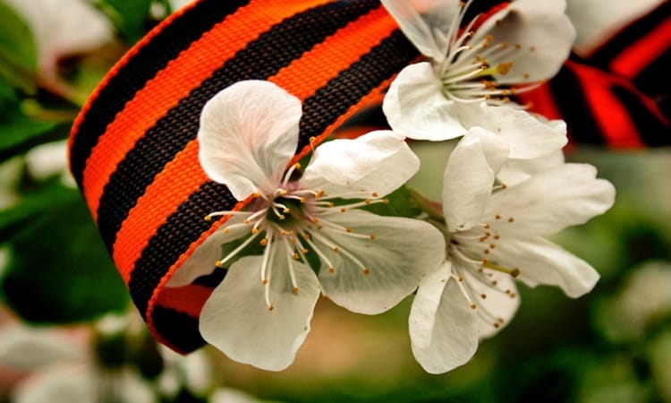 Майские праздники: как оформить нерабочие дни с 4 по 7 мая