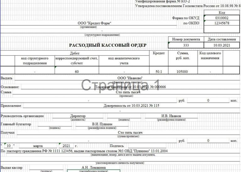 Расходный кассовый ордер: бланк, образец, инструкция по заполнению