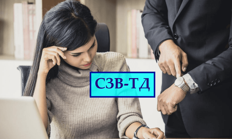 Сведения о трудовой деятельности (СЗВ-ТД) – сроки подачи и штрафные санкции