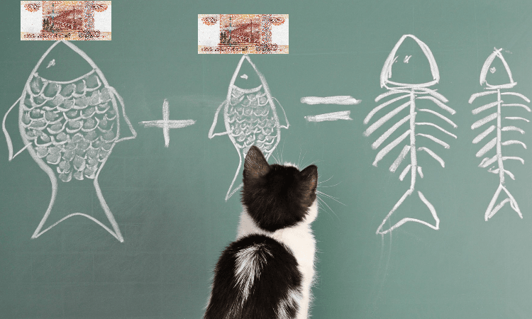 Кому и когда положены «путинские» выплаты школьникам