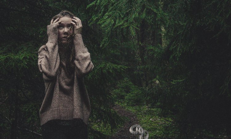 Возможные ошибки ИП на упрощёнке