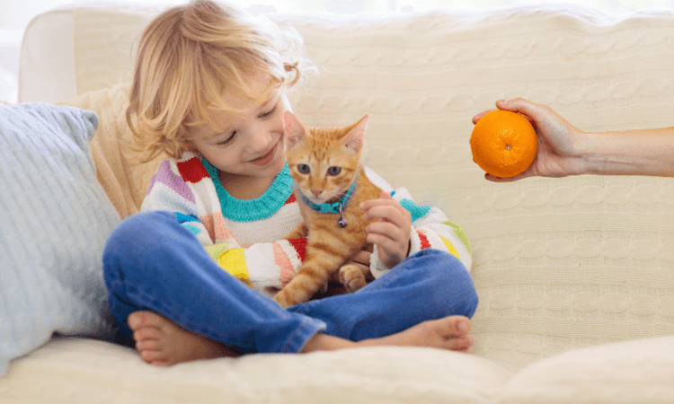 Размер больничного по уходу за ребёнком с сентября 2021