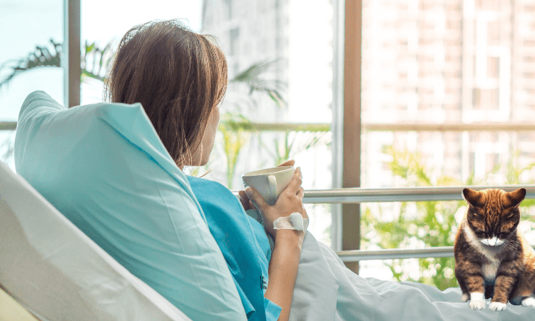 Правительство РФ утвердило новые правила расчёта больничных, декретных и детских пособий