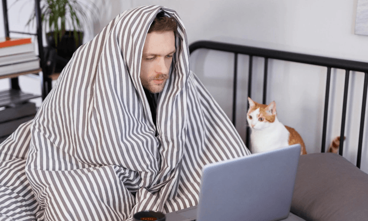 Вопросы бухгалтеров и кадровиков о нерабочих днях с 30 октября по 7 ноября