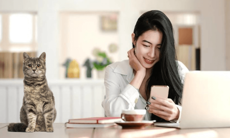 Налогообложение имущества физических лиц