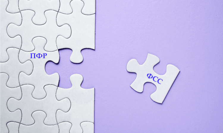 Объединение ФСС и ПФР в 2023 году: ставки взносов