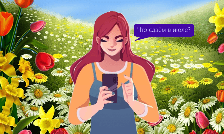 Памятка бухгалтера по отчётам: июль 2022 года