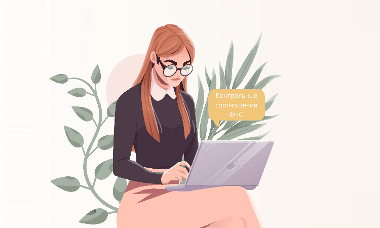 Контрольные соотношения ФНС для новой декларации по НДС