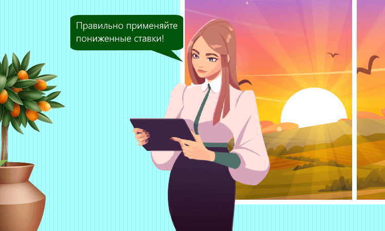 НДС 5 % и 7 %: как применять пониженные ставки корректно