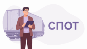 Система СПОТ с 1 июня 2026 года: инструкция для бухгалтера